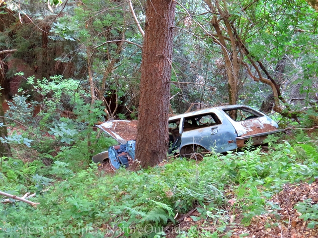 crashed car on trail