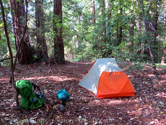 My tent, backpack, food bag, water bottles, and metal cup