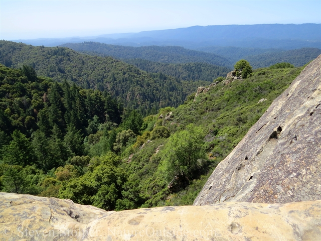 view from Goat Rock