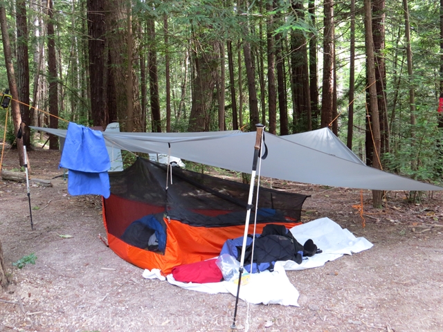 tarp and mosquito shelter