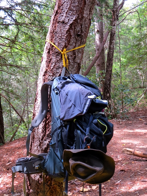 pack hanging from tree