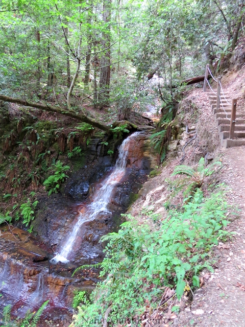 Golden Falls seen from the trail