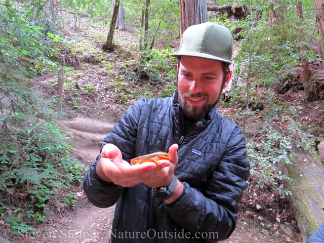 Ranger and California Newt