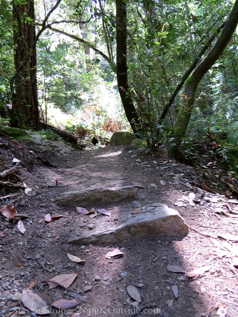 skyline to the sea trail