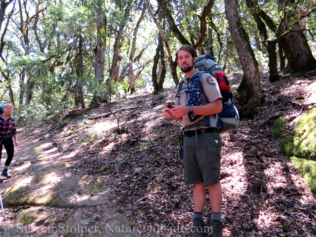 ranger explaining ruts on trail