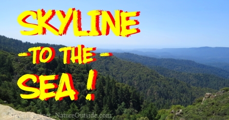 skyline to the sea santa cruz mountains
