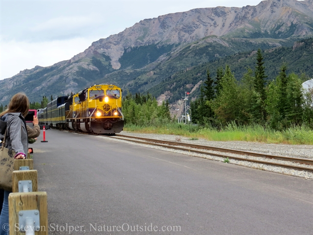 Train from Fairbanks arriving at the Denali depot