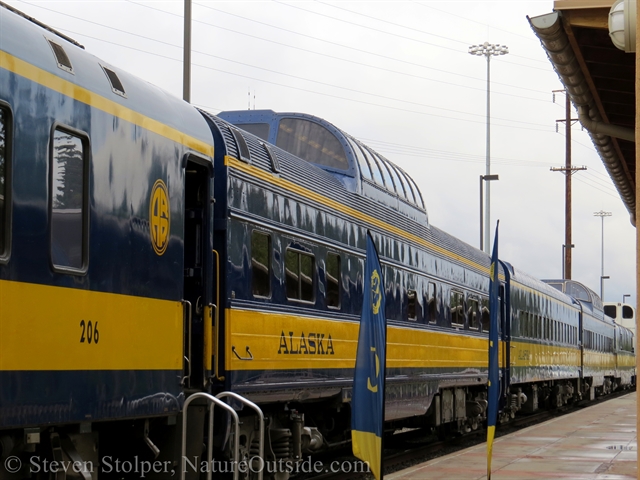 train at Fairbanks depot