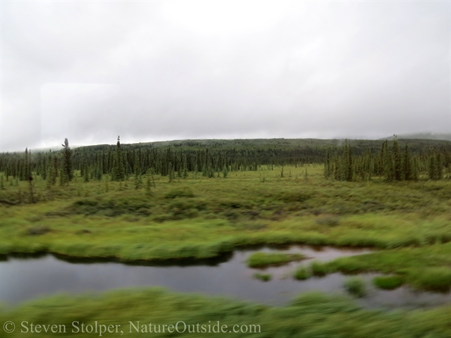 wet tundra seen from train