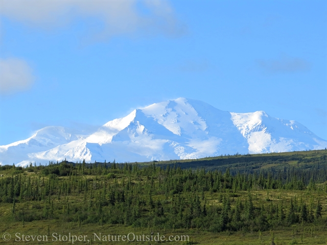 Mount Denali 