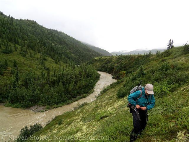 Moose Creek, Denali National Park