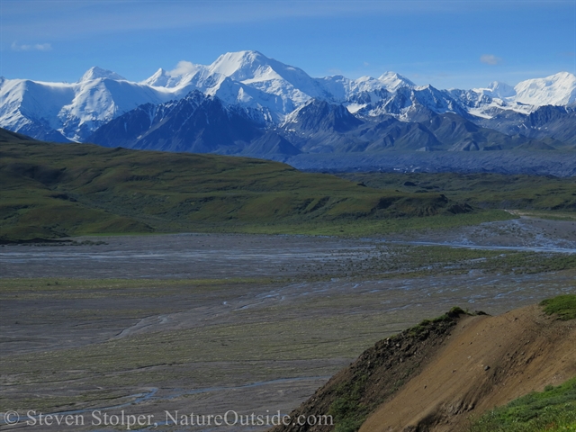 The Thorofare River Denali