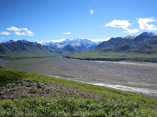 Thorofare River Denali