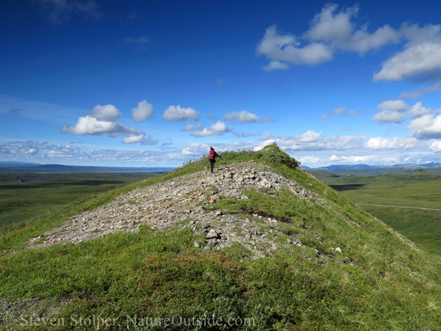 hiker on hill overlooking tundra