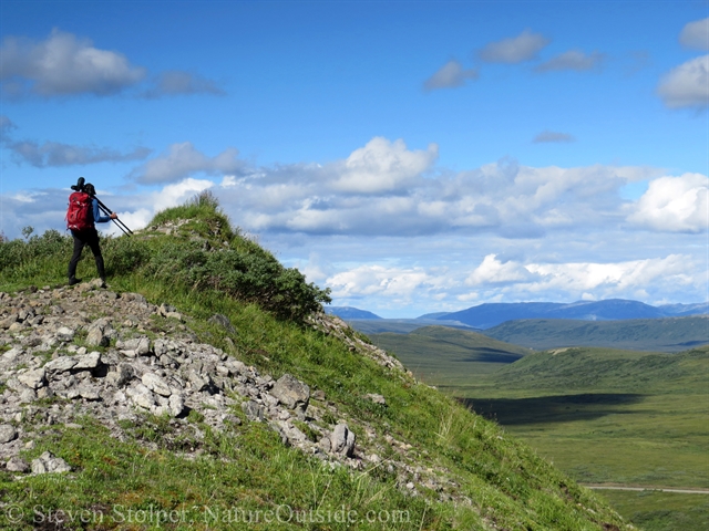 hiker on hill overlooking tundra