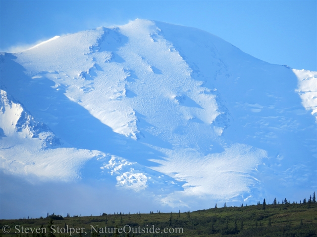 Mt. Denali