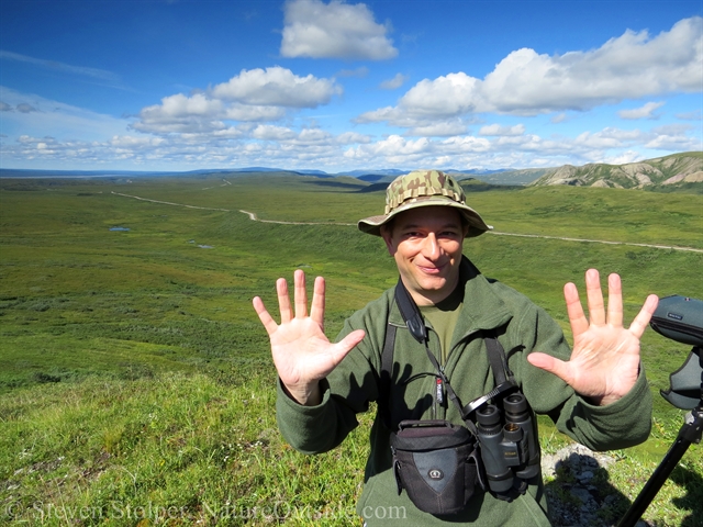 hiker overlooking tundra