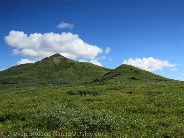 hills on tundra