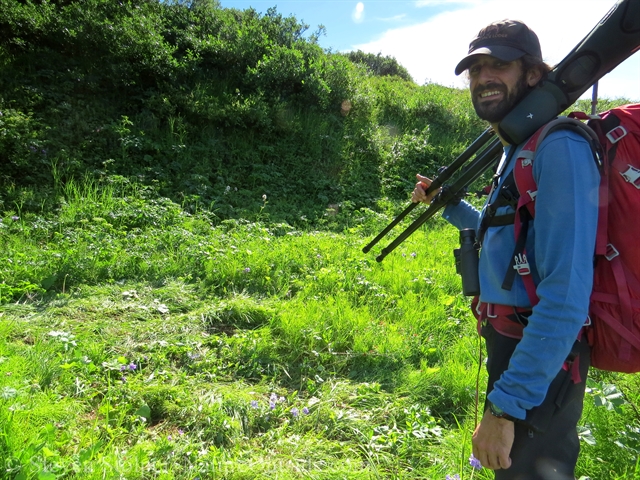 hiker and moose bed