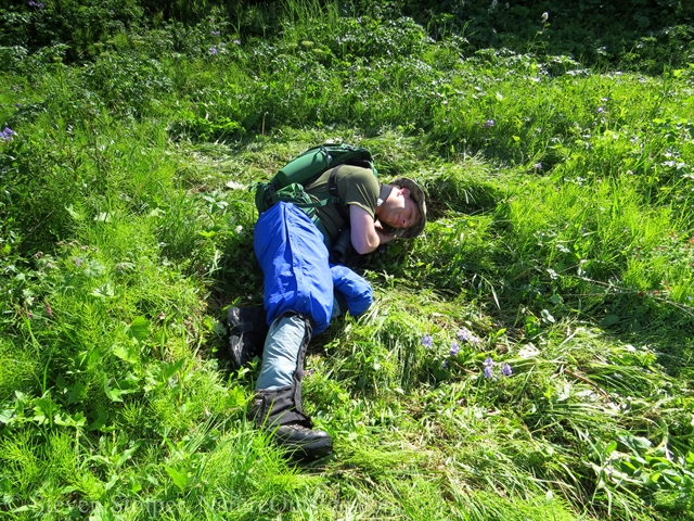 hiker sleeping in moose bed