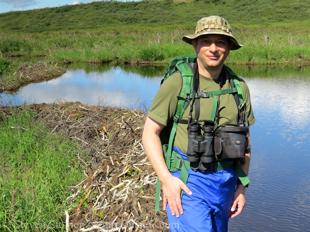 hiker and beaver dam