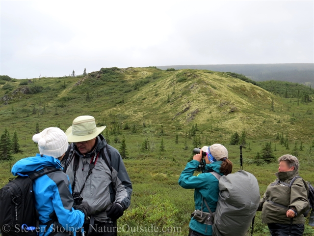 hikers on tundra