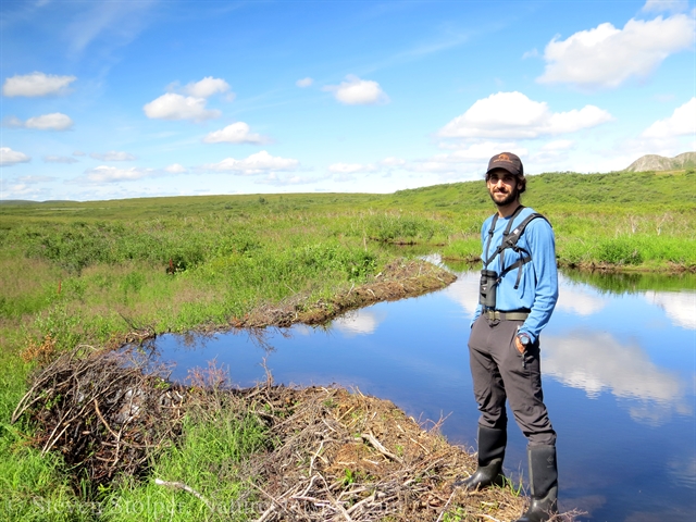 hiker and beaver dam