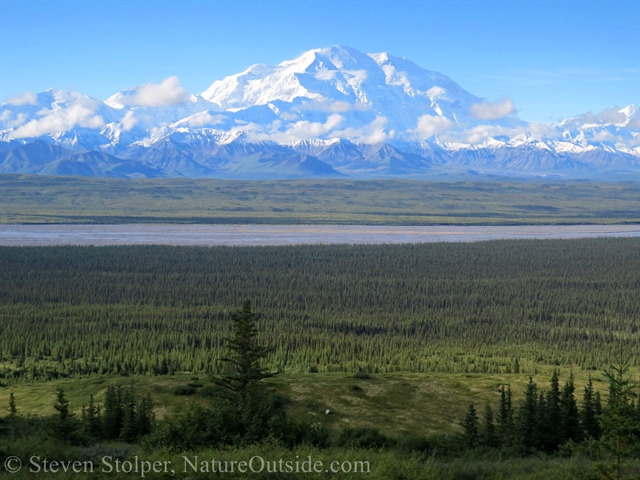  tundra and boreal forest