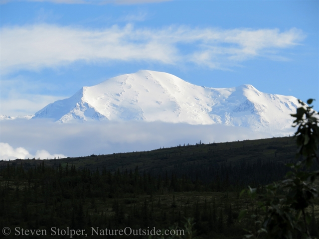 Mt. Denali