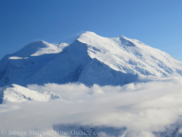 Mt. Denali