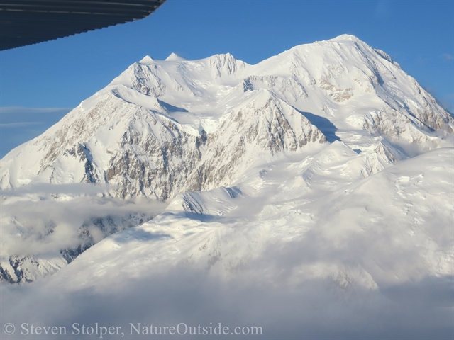 mt denali