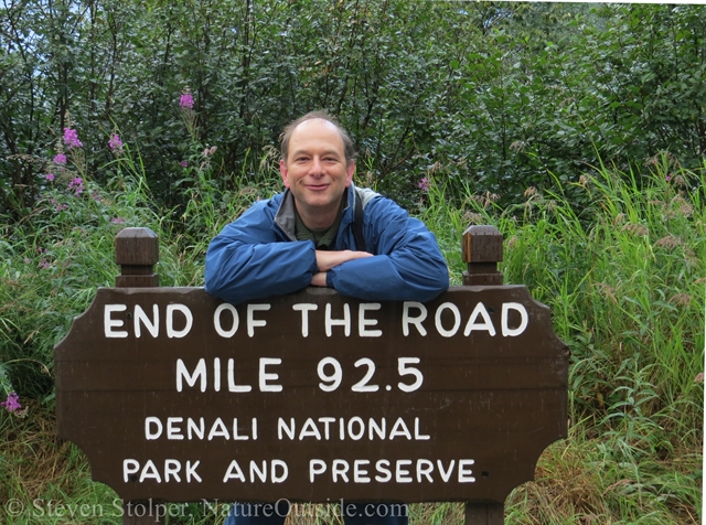 end of the road denali national park