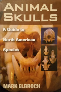 animal skulls