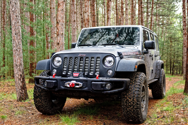 Jeep in woods