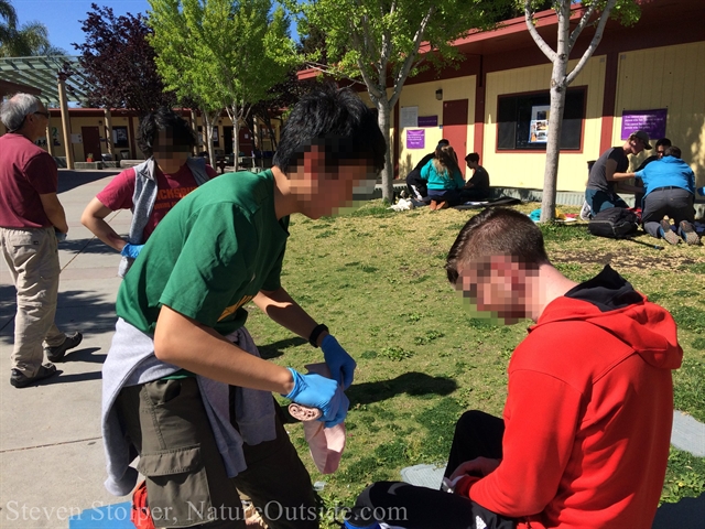 wilderness first aid students examine patient