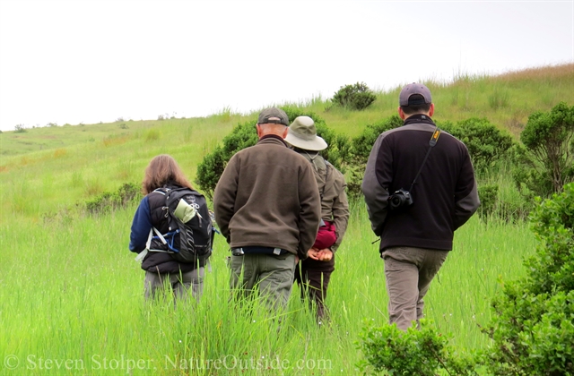 animal trackers standing in grass