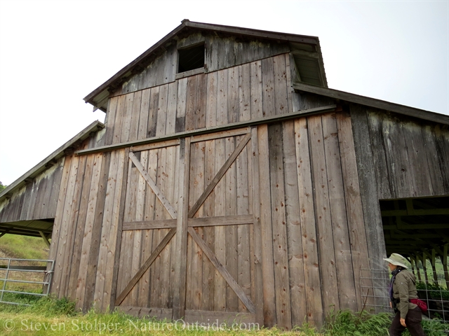 barn