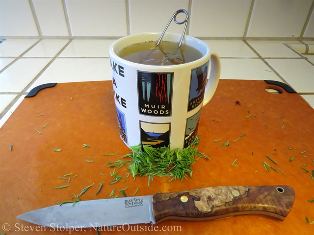 Douglas Fir tea and bushcraft knife