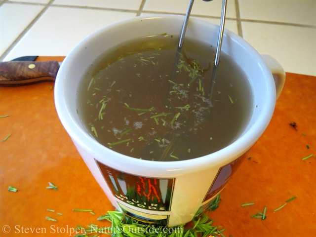 Douglas Fir tea after 10 minutes of steeping (and honey).