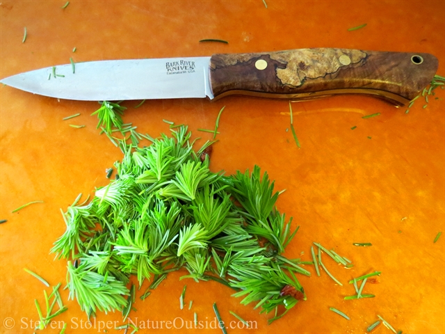 douglas fir needles