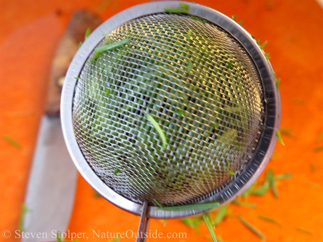 Douglas Fir needles in infuser