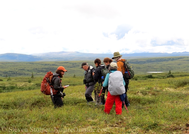 hikers in Denali National Park