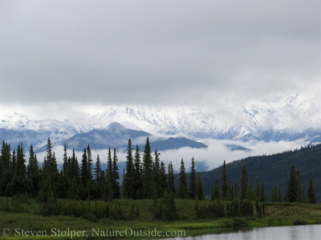 Clouds hide the peaks of the Alaskan Range