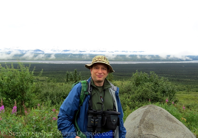 hiker in denali