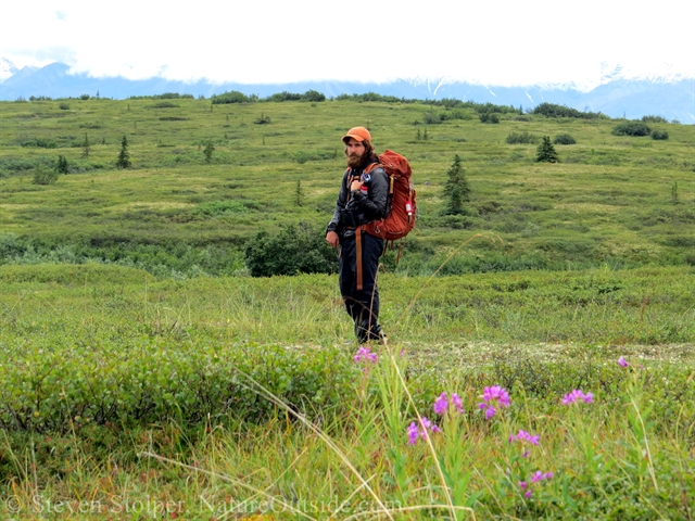 hiker on tundra