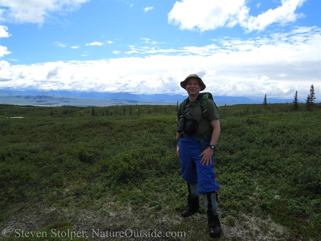 hiker in denali