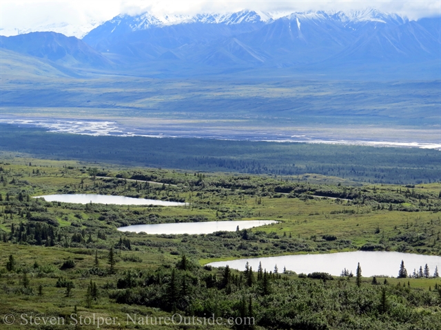 kettle ponds