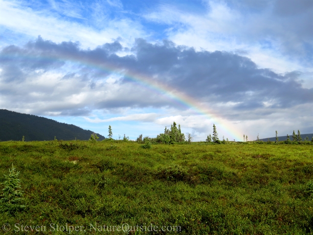 rainbow over tundra