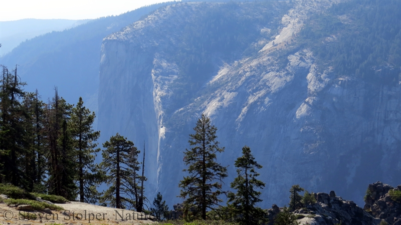 view of el capitan