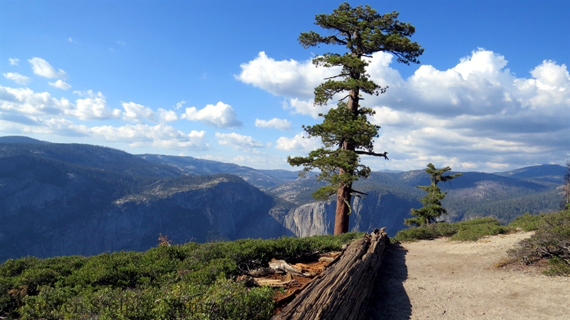 yosemite